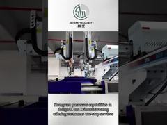 Comprimento Cabos de alimentação personalizados PVC isolado 250V com condutor de cobre